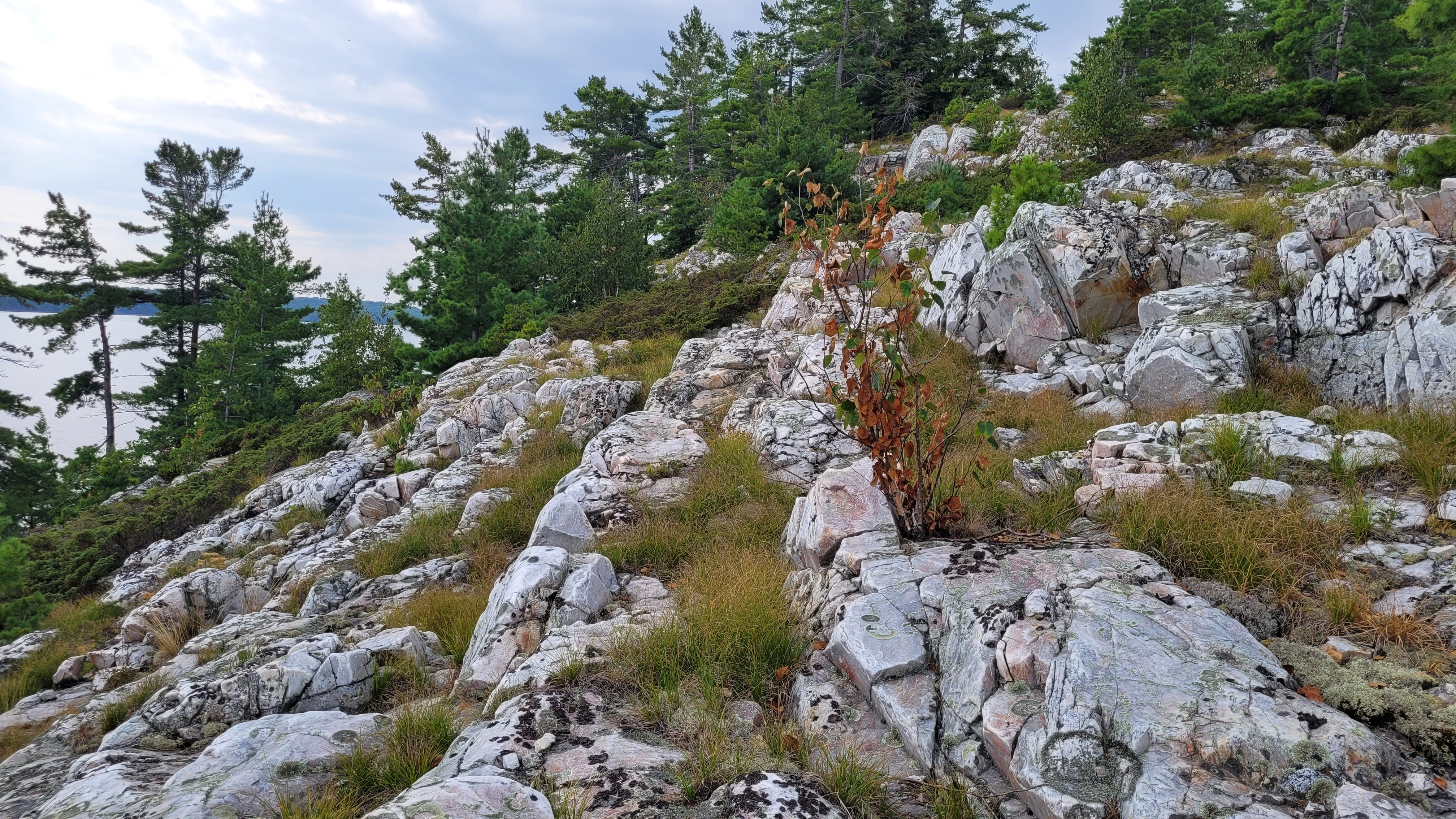 Quartzite rocks from the La Cloche Mountains